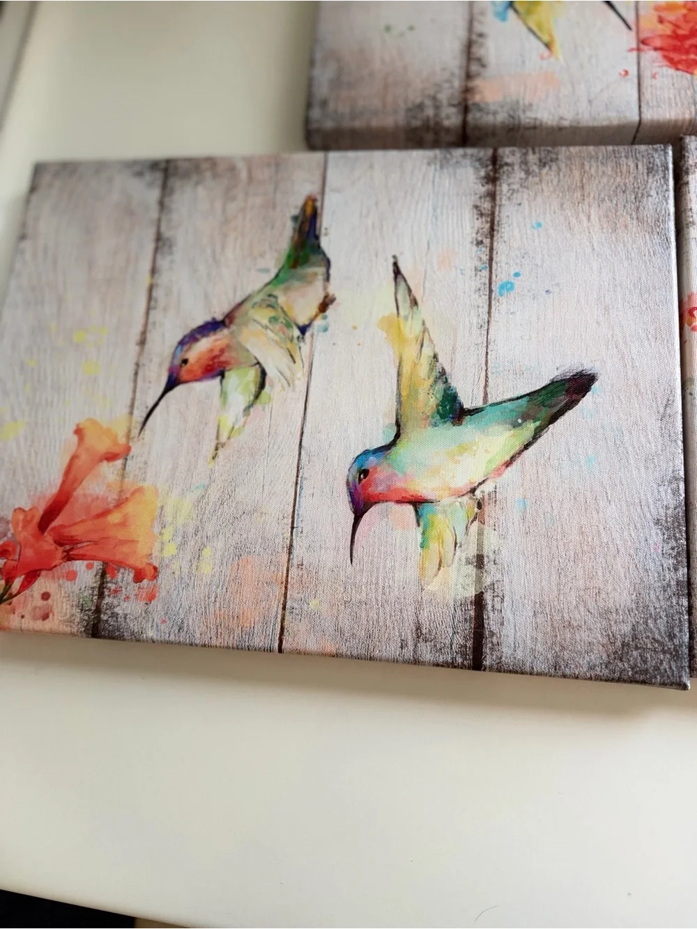 Set of 3 Colorful Hummingbird Wall Art Canvas - Multicolor